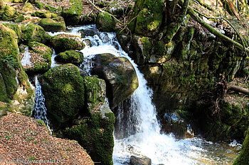 Höllbach bei Görwihl