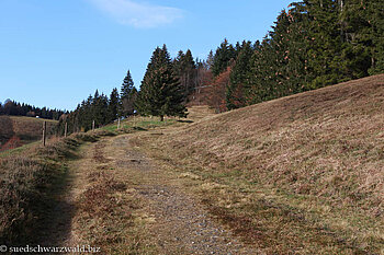 Westweg zwischen Haldenhof und Kreuzweg