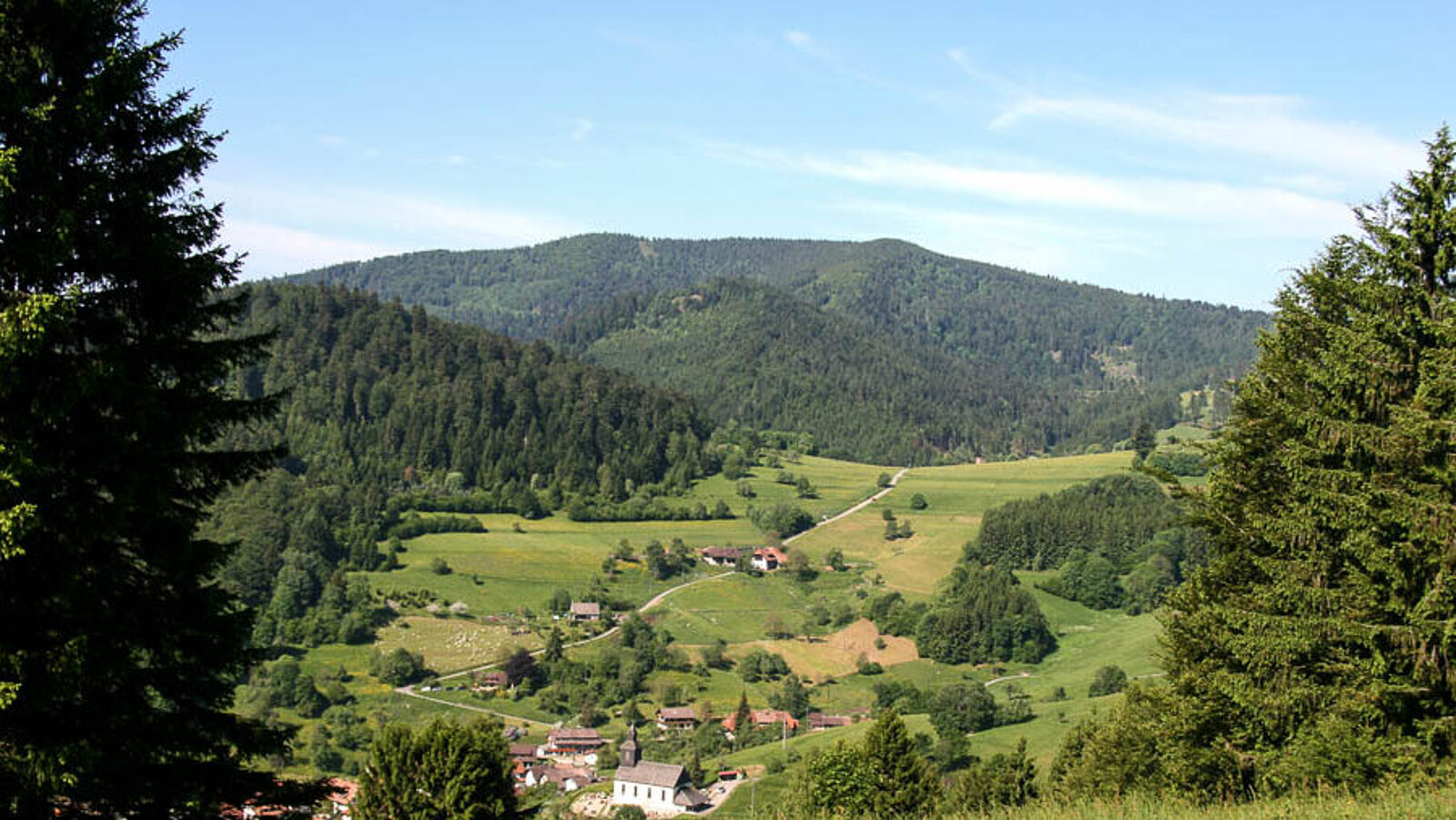 Blick vom Belchen über die Passhöhe Hau nach Neuenweg