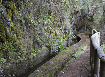 Abschnitt entlang einer Levada zwischen zwei Tunneln von Los Tilos