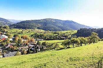 Ausblick von Haslach-Hofstetten auf den Urenkopf
