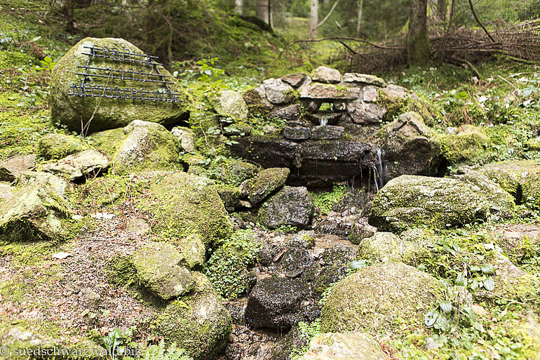 von den Naturfreunden gefasster Brunnen