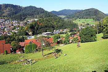 Aussicht über das Wildgehege auf Wolfach und ins Wolftal
