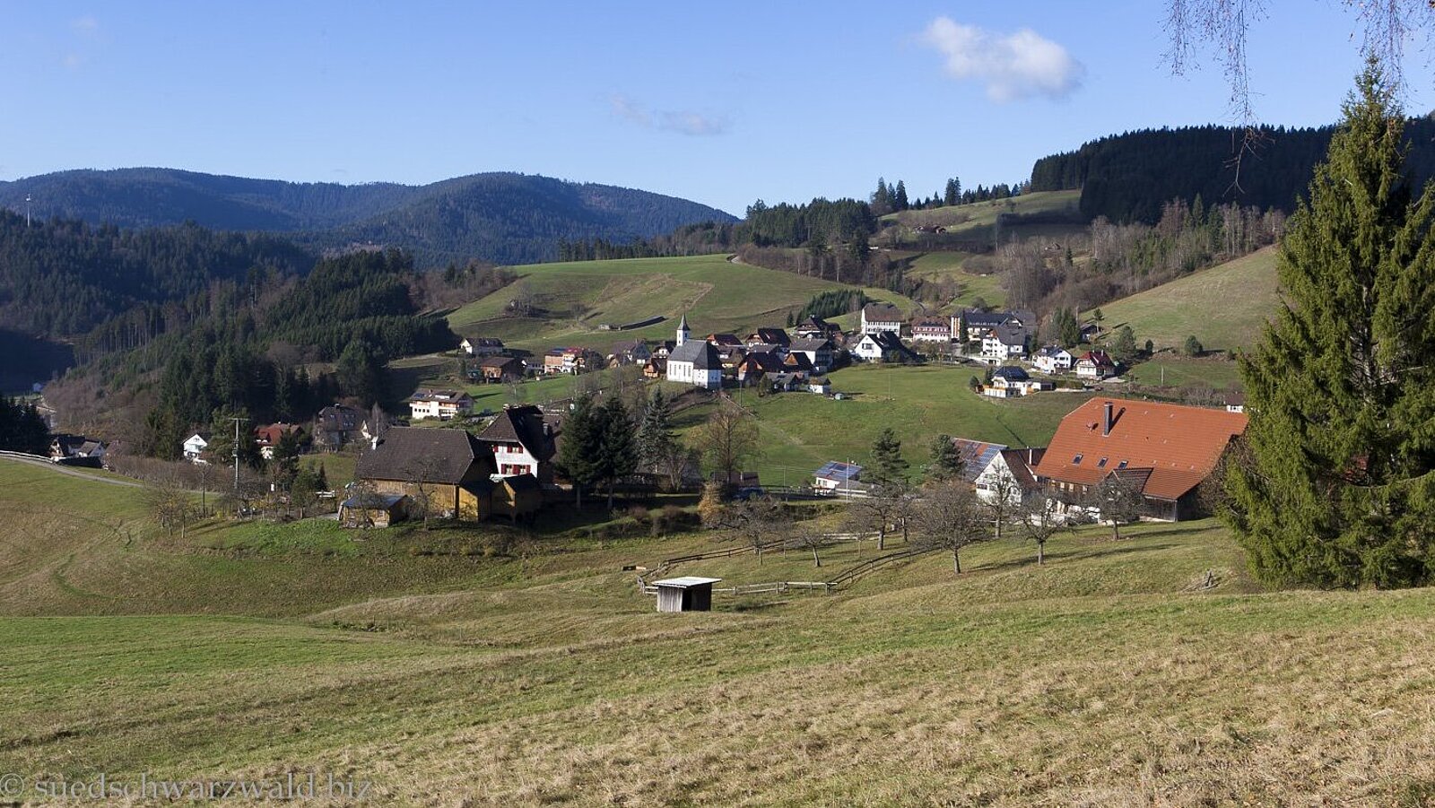Aussicht vom Baiersbronner Panoramasteig auf den von Wiesen und Wäldern umgebenen Ort Schwarzenberg