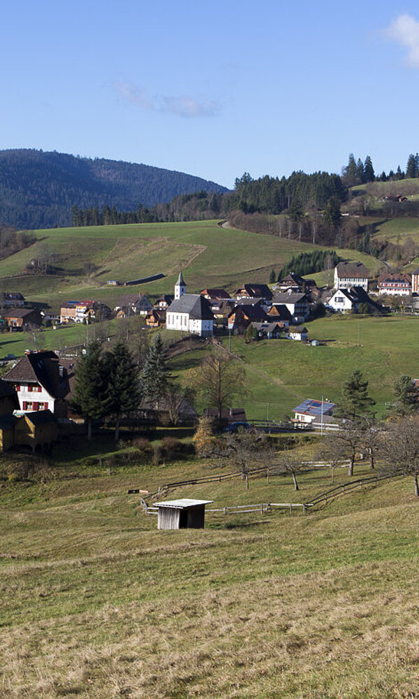 Aussicht vom Baiersbronner Panoramasteig