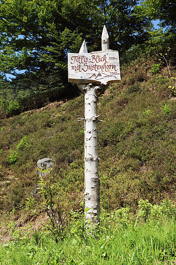 Titlis-Blick mit Susenhorn