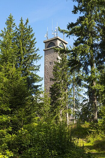 Blick durch die Bäume zum Aussichtsturm auf dem Brandenkopf