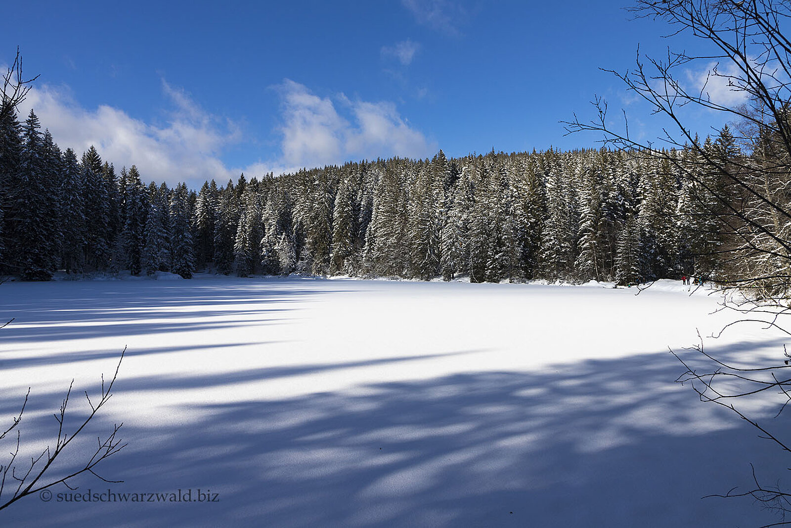 Winterlandschaft am zugefrorenen Mathisleweiher bei Hinterzarten