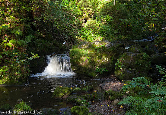 Wasserfall in der mittleren Ravennaschlucht bei Hinterzarten