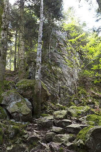 Felsiger Pfad auf der Wildbach-Tour im ZweiTälerLand