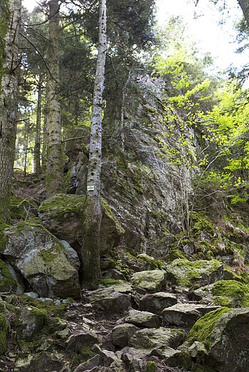 Felsiger Pfad auf der Wildbach-Tour im ZweiTälerLand