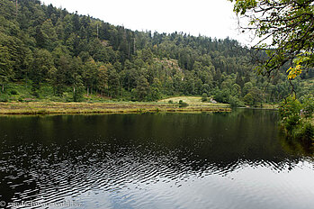 Wanderung zum Nonnenmattweiher