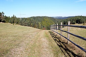 Wanderweg über die Berneckhöhe im Schiltachtal