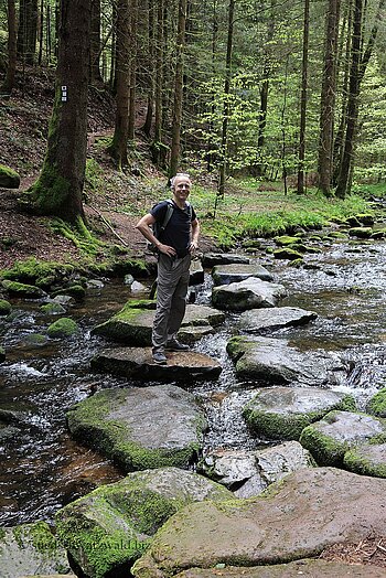 Furt durch den Elbach