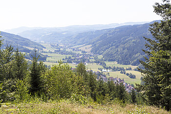 Blick ins Elztal – eines der beiden Haupttäler des ZweiTälerLands