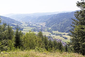 Blick ins Elztal – eines der beiden Haupttäler des ZweiTälerLands