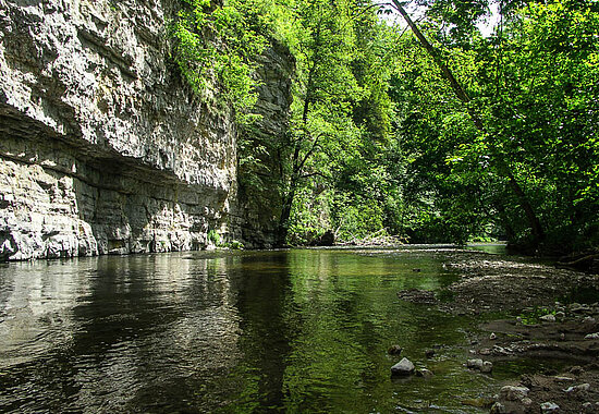 Muschelkalkwand in der Wutachschlucht im Sommer