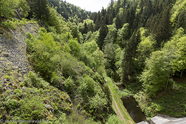 Blick von der Staumauer ins Mettmatal