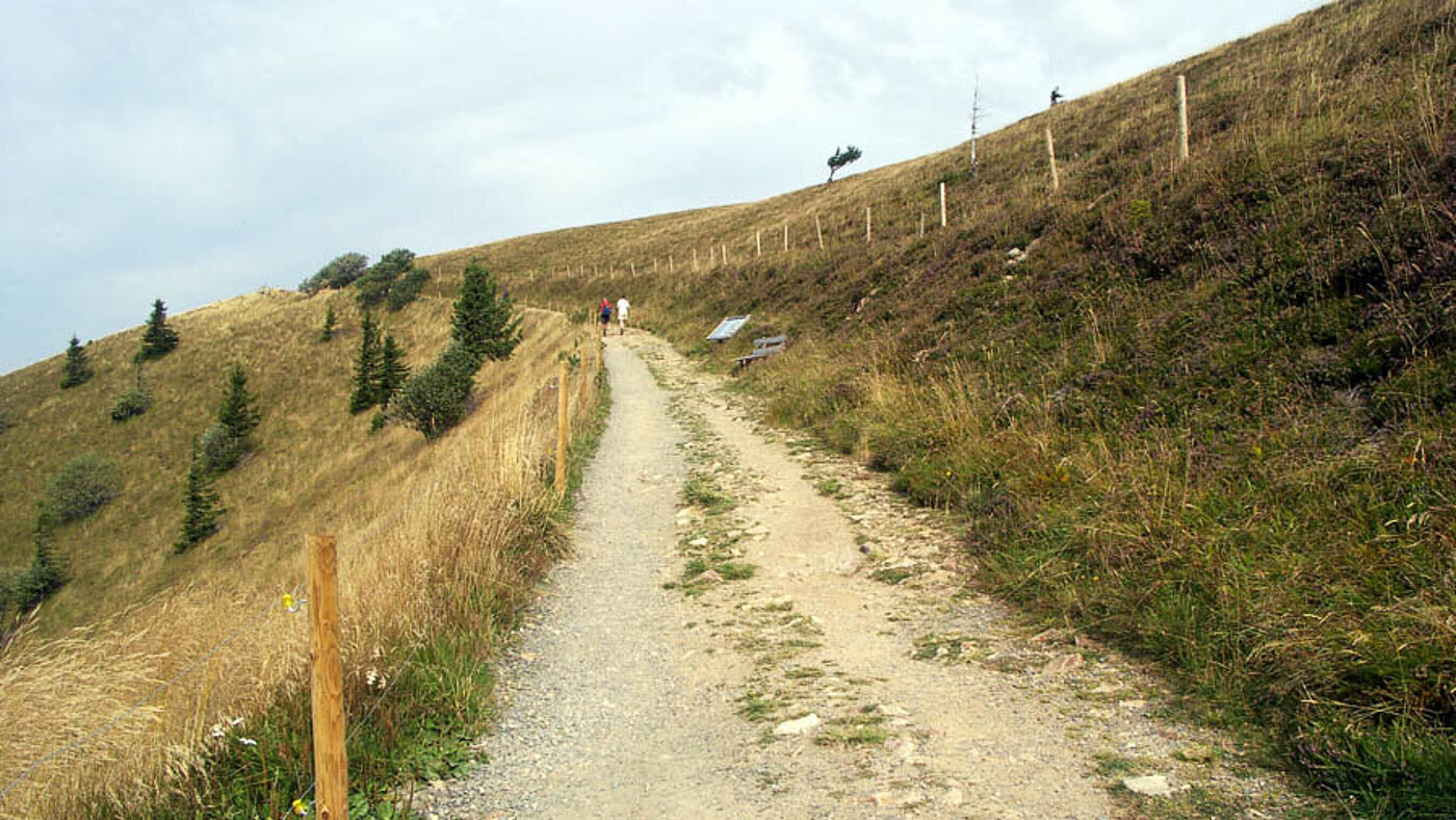 Weg zum Gipfel des Belchens