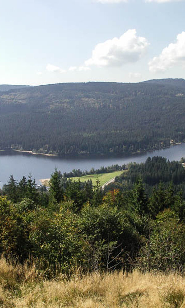 Aussicht vom Bildsteinfelsen auf den Schluchsee