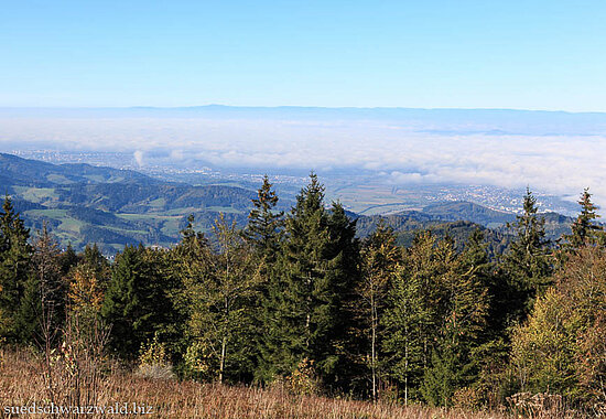 Aussicht vom Berg Kandel über die vom Hochnebel verdeckte Oberrheinebene