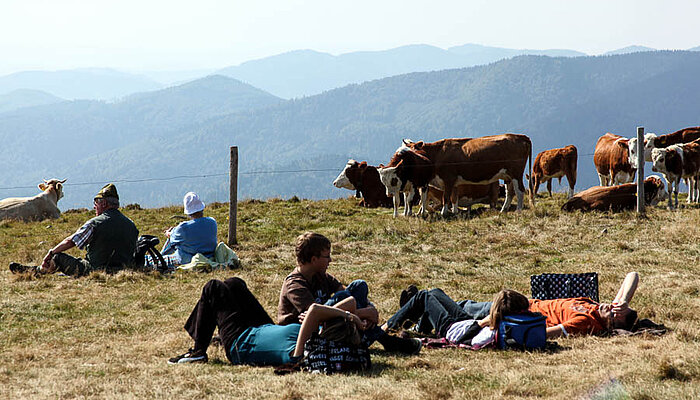 Wanderungen am Belchen