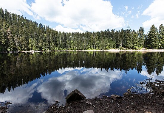 Wolken spiegeln sich im Wasser des Glaswaldsees im Schwarzwald