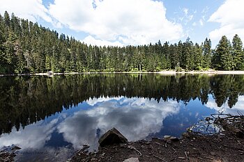 Wolken spiegeln sich im Wasser des Glaswaldsees im Schwarzwald