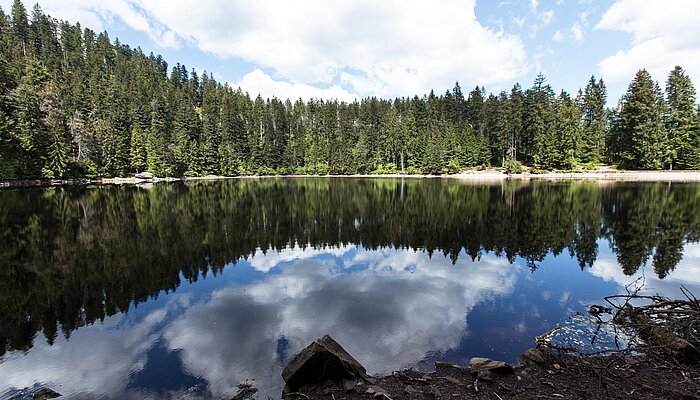 Wolken spiegeln sich im dunklen Wasser des Glaswaldsees Bad Rippoldsau-Schapbach