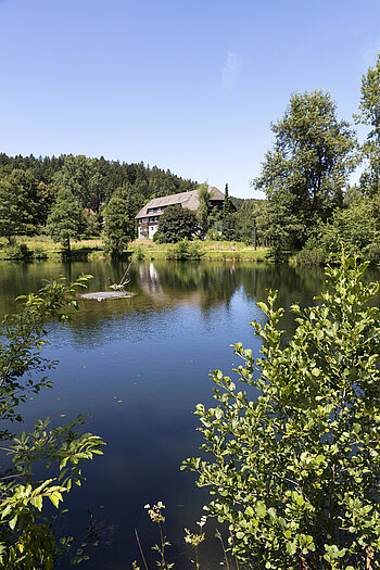 Blick auf den Stehlesee von Herrischried