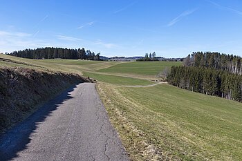 Leichter Wanderweg bei Wilfingen
