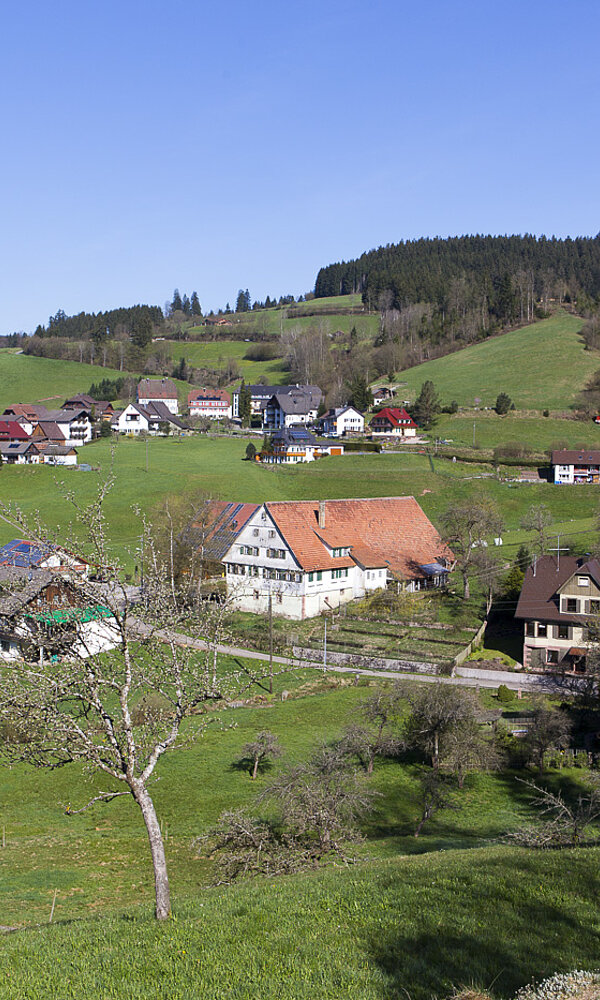 Aussicht über Schwarzenberg