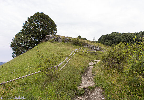 Wanderung auf den Jusenberg