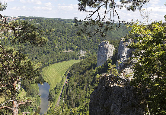Aussicht vom Altstadtfels auf die Donau