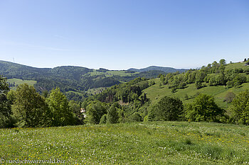 Aussicht zum Wegscheidekopf und Wiesental