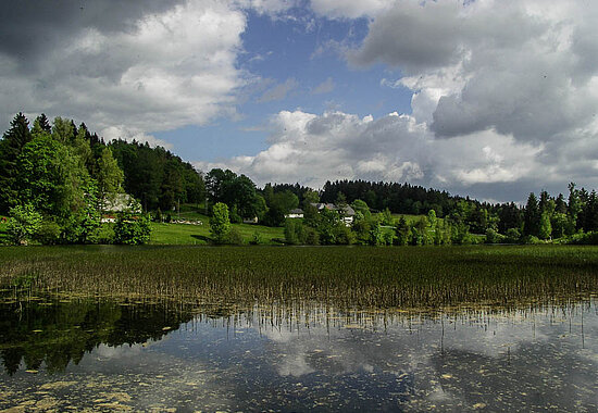 tiefe Wolken über dem Klosterweiher in Dachsberg