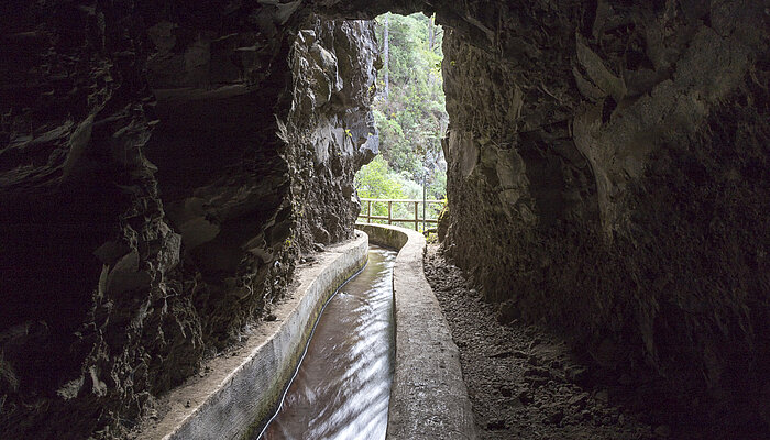 Tunnelwanderung bei Los Tilos