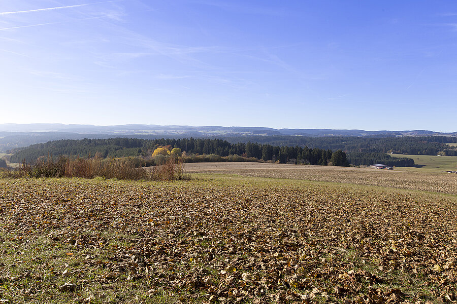 Aussicht vom Gupfen zum Hotzenwald