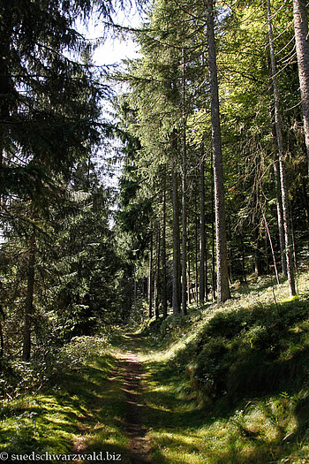 Murgtalpfad oberhalb der Hetzlenmühle