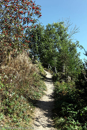 Aufstieg zum Riesenbühlturm