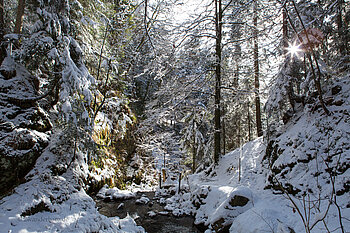 Winteridylle am Genießerpfad Lebküchlerweg