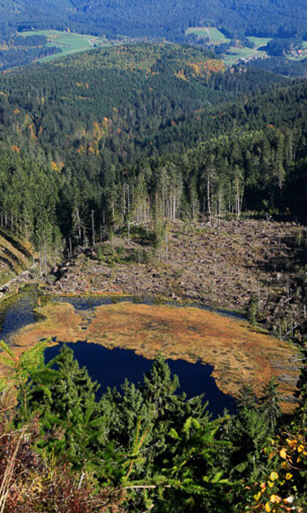 Huzenbacher Seeblick
