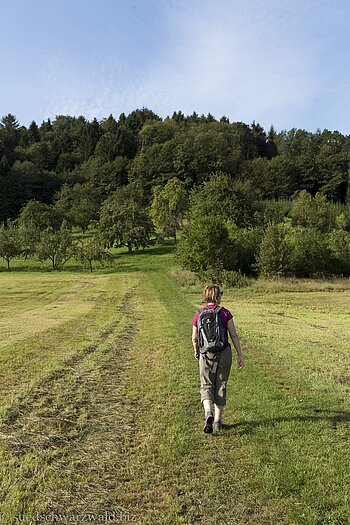 Wanderin auf dem Brennersteig