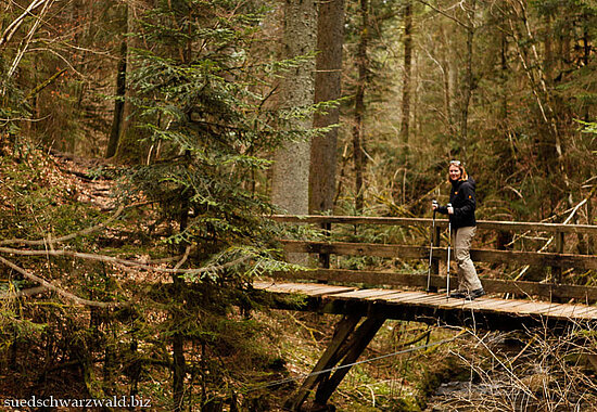 eine der Brücken in der Lotenbachklamm