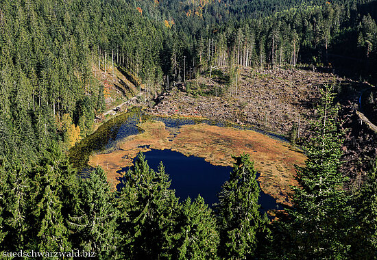 Aussicht von der Klemisse auf den Huzenbacher See bei Baiersbronn