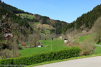 Tal der Wilden Gutach